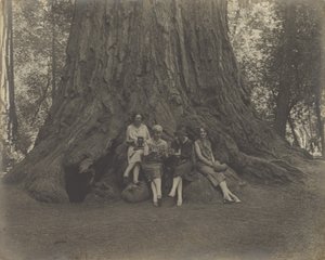 [Mujeres con cámaras en la base de un árbol] de Louis Fleckenstein