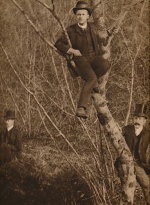 Hombre sentado en un árbol