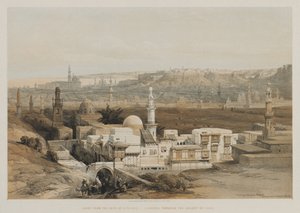 Egipto y Nubia, Volumen III: El Cairo desde la puerta de Citzenib, mirando hacia el desierto de Suez