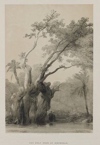 Egipto y Nubia, Volumen III: El Árbol Sagrado de Metereah