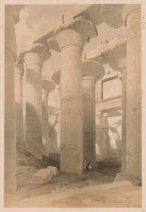 Egipto y Nubia: Volumen II - No. 14, Karnak de Louis Haghe
