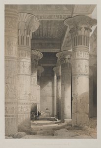 Egipto y Nubia, Volumen I: Vista bajo el Gran Pórtico del Templo, Philae de Louis Haghe