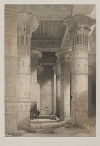 Egipto y Nubia, Volumen I: Vista Bajo el Gran Pórtico del Templo, Philae, 1846 de Louis Haghe