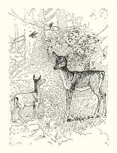 El cervatillo y su madre (litografía) de Louis John Rhead