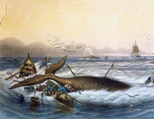 Caza de ballenas en los mares del sur, litografía en color de Louis Lebreton (fallecido en 1866) de Louis Le Breton