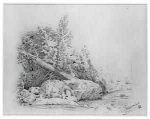 Árbol caído, Valle de Keene, 25 de julio de 1883 de Louis Michel Eilshemius