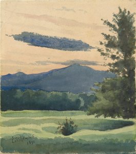 prado verde