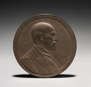 Medalla: Abram Stevens Hewitt de Louis Oscar Roty