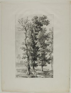 Estudio de Árboles de Louis Pierre Baltard