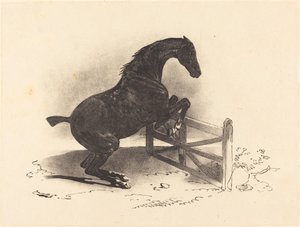 Caballo saltando una barrera de Louis Pierre Marie Courtin after Théodore Gericault
