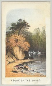 Morada de los Cisnes, de la serie Vistas en Central Park, Nueva York, Parte 2 de Louis Prang