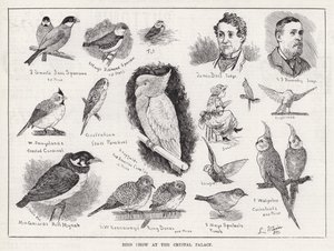 Exposición de aves en el Palacio de Cristal