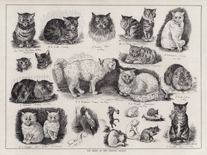 Exposición de gatos en el Crystal Palace de Louis Wain