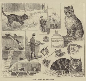 Hogar de gatos en Battersea de Louis Wain