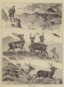 Deporte de las Tierras Altas de Louis Wain