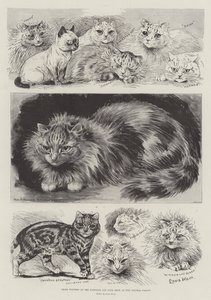 Ganadores de premios en la Exposición Nacional de Gatos en el Crystal Palace de Louis Wain