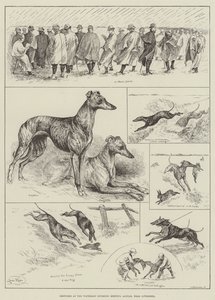 Bocetos en la reunión de carreras de Waterloo, Altcar, cerca de Liverpool (grabado) de Louis Wain