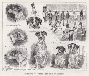 Exposición del Club de Fox Terrier de Southdown en Brighton de Louis Wain