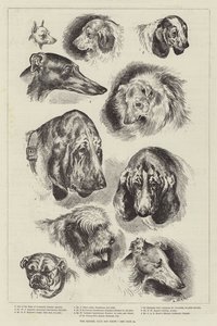 Exposición canina del Kennel Club