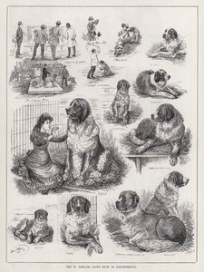 Exposición del Club de San Bernardo en Knightsbridge de Louis Wain