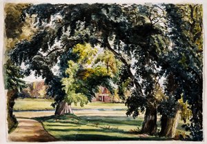 Paisaje de Louisa Ann Neville