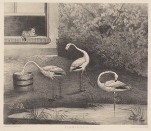 Tres flamencos y un gato de Louise Marie Françoise van der Beek