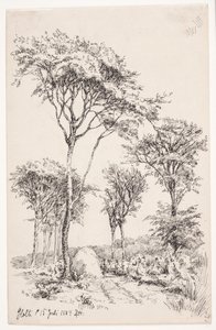 Paisaje forestal con árboles aislados de Louise Ravn Hansen