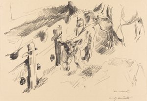 Terneros, 1912