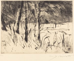 Jardín Zoológico Tiergarten, 1922