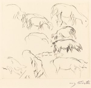 Verschiedene Tierstudien de Lovis Corinth
