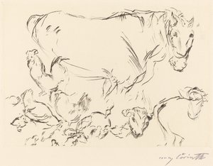 Verschiedene Tierstudien Estudios de animales, 1917