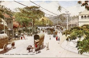 Escena de calle, Pettah, Colombo, Ceilán, c.1900-20 (fotografía coloreada a mano) de Ltd. Ceylon Plâté