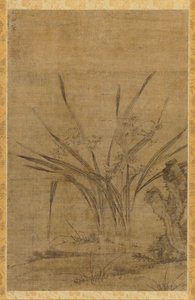 Narcissus and Rocks de Lu Tianru