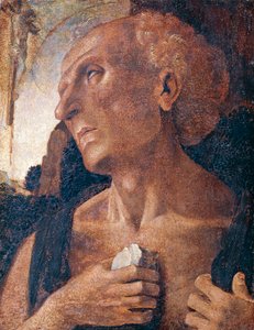 San Jerónimo, atribuido a Luca Signorelli (circa 1441 o 1450-1523)