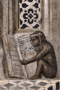 El mono con gafas leyendo un libro