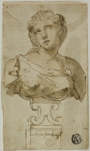 Busto de una mujer de Luca Cambiaso
