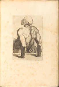 Impresión del Libro de Dibujo