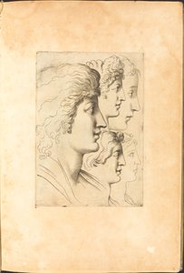Impresión del libro de dibujos