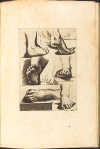Impresión del libro de dibujos