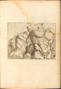 Impresión del libro de dibujos