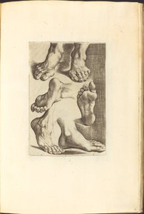 Impresión del Libro de Dibujo