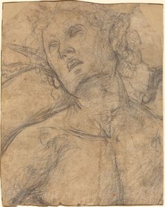 Busto de un joven mirando hacia arriba [recto] de Luca Signorelli