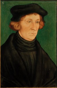 Retrato de un erudito (Otto Brunfels) de Lucas Cranach the Elder