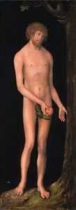 Alemán: Adam Adam de Lucas Cranach the Elder