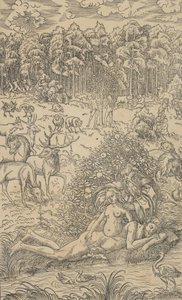 La Creación de Eva de Lucas Cranach the Younger  