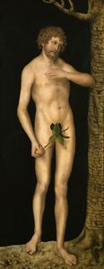 La caída del hombre: Adán de Lucas the Elder Cranach