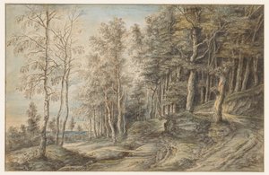 Paisaje forestal