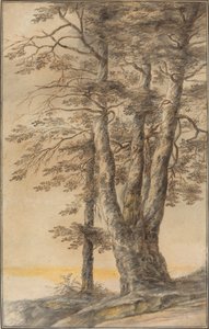 Estudio de Árboles de Lucas van Uden