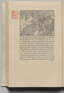 The Queen of the Fishes: Plate 11 