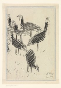 Seis pájaros
